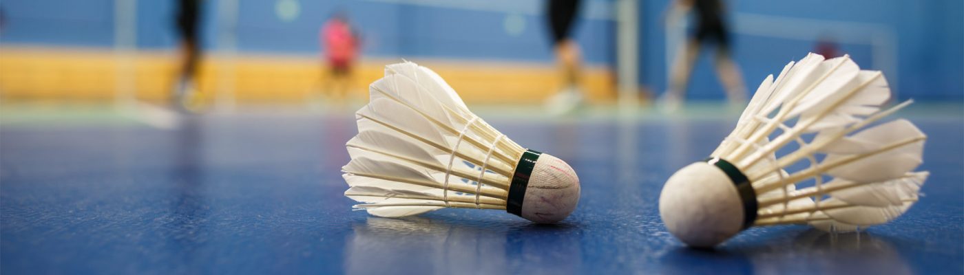 Mosaic Badminton Club