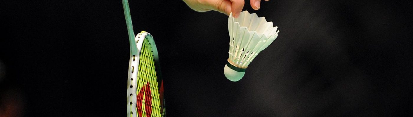 Mosaic Badminton Club