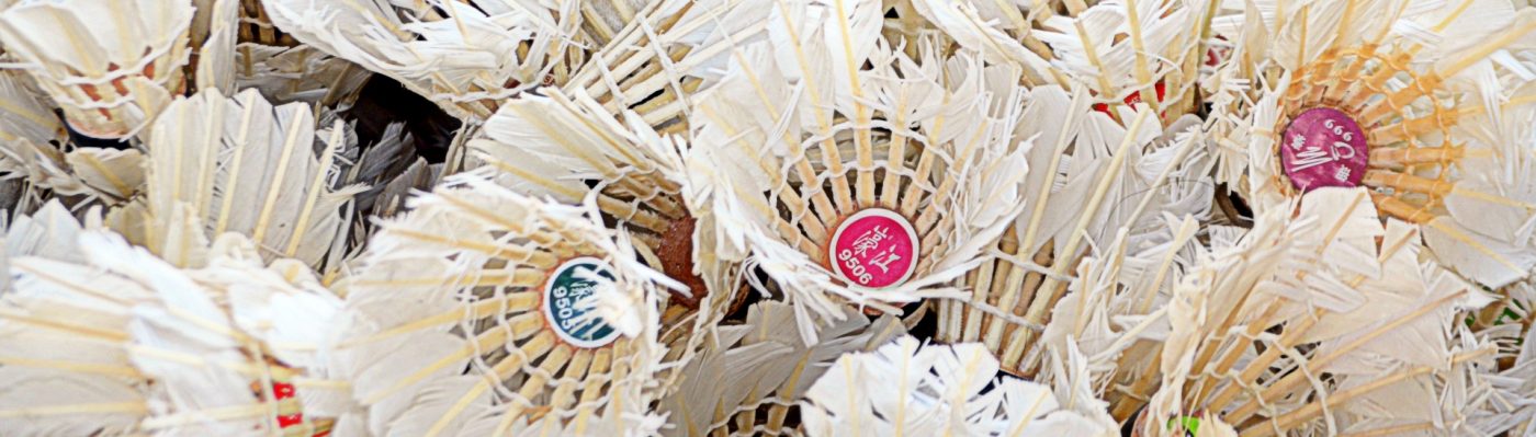 Mosaic Badminton Club