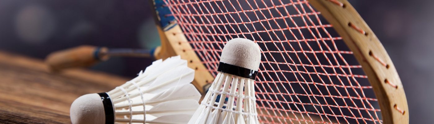 Mosaic Badminton Club