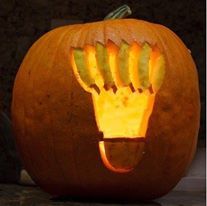f570caf1e1b63ce21af9ef559f965a51--badminton-pumpkins