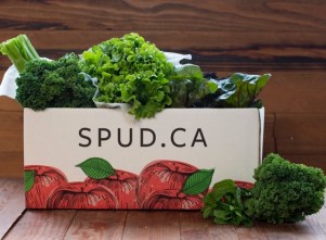 SPUDFundraising_Graphic_Greens Box.jpeg